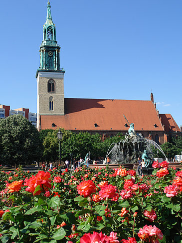 Fotos Marienkirche | Berlin