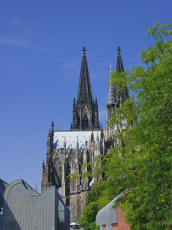 Foto Türme des Kölner Doms - Köln