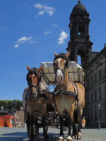 Fotos Pferdekutsche | Dresden