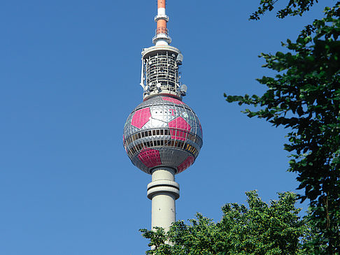 Fernsehturm und Bäume