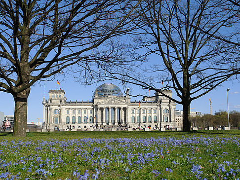 Parkanlage am Reichstag Foto 