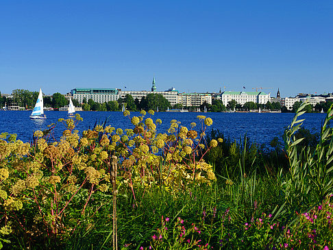 Blick nach Osten von der Außenalster