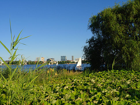 Blick nach Osten von der Außenalster Foto 