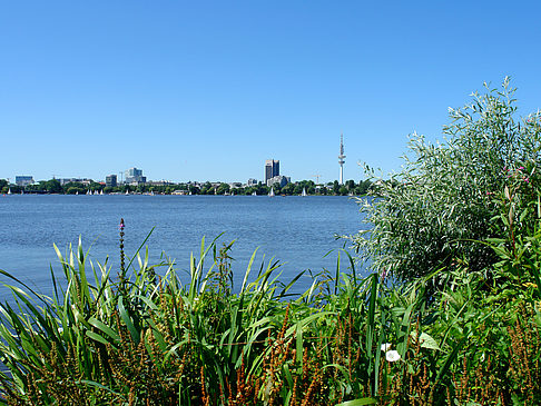 Schöne Aussicht