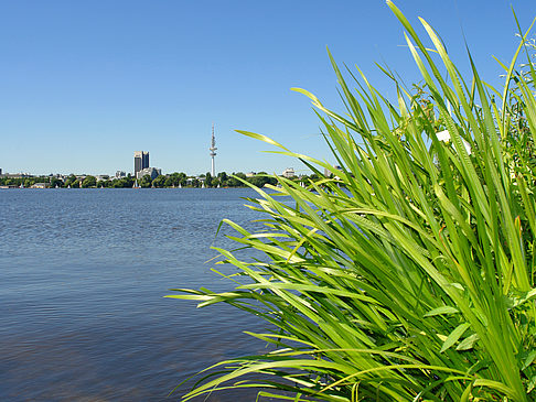 Schöne Aussicht Foto 