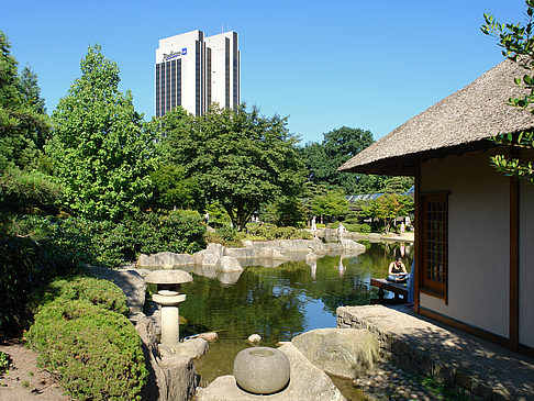 Planten un Blomen - Japanischer Garten Fotos