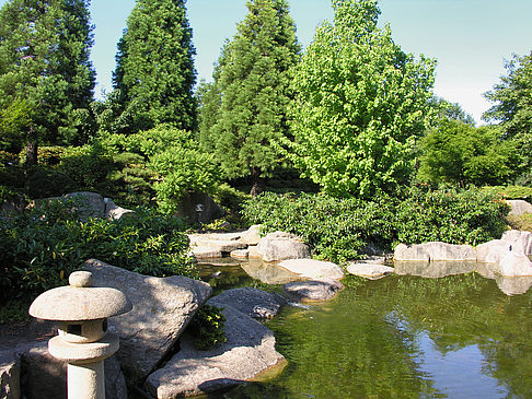 Fotos Planten un Blomen - Japanischer Garten