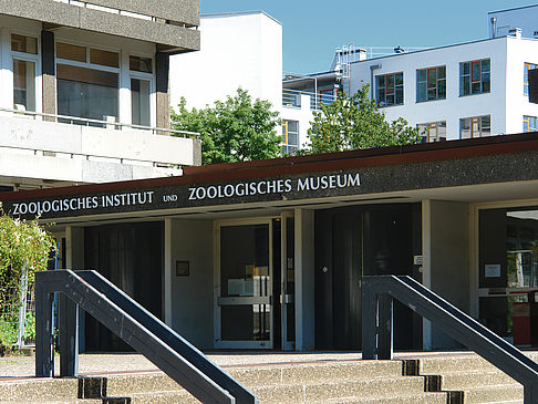 Zoologisches Museum Fotos