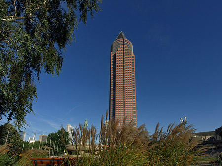 Messeturm auf Wiese