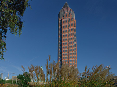 Messeturm mit Wiese Fotos