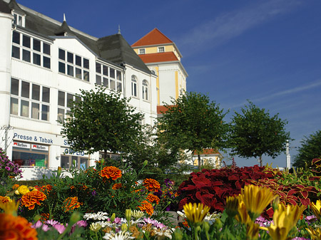 Foto Seebrücke Binz - Ostseebad Binz