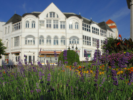 Fotos Seebrücke Binz