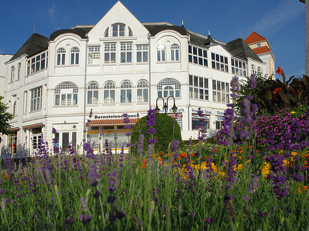 Seebrücke Binz Foto 