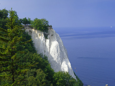 Königsstuhl Kreidefelsen