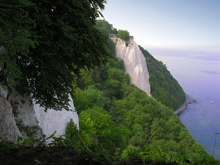 Foto Königsstuhl Kreidefelsen - 