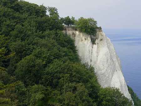 Königsstuhl Kreidefelsen Foto 