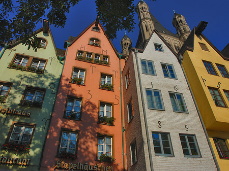 Foto Fischmarkt in der Altstadt