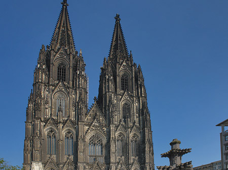 Kreuzblume vor Kölner Dom Foto 