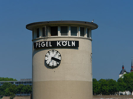 Fotos Pegel Köln