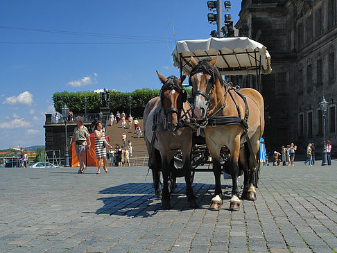 Foto Pferdekutsche