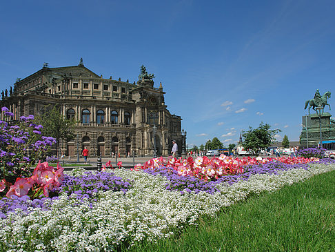 Semperoper mit Blumen Foto 