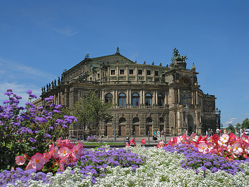 Foto Semperoper mit Blumen - Dresden