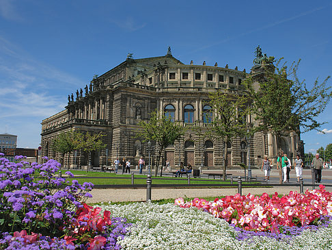 Semperoper mit Blumen Foto 