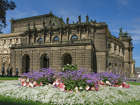 Fotos Semperoper mit Blumen | Dresden