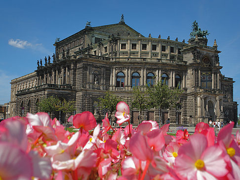 Foto Semperoper mit Blumen