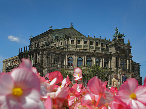 Fotos Semperoper mit Blumen